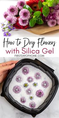 How to Preserve Flowers with Silica Gel